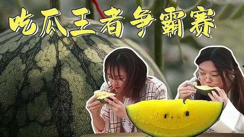 吃瓜王第三季全集免费